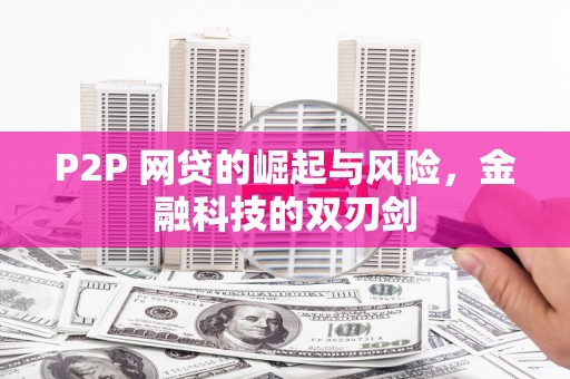 火炬P2P 网贷的崛起与风险，金融科技的双刃剑