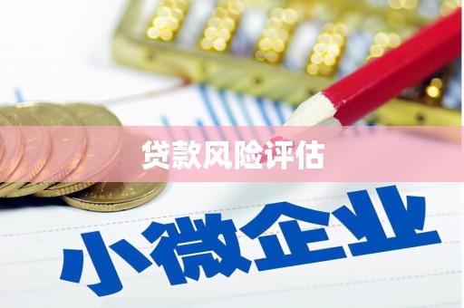 火炬贷款风险评估