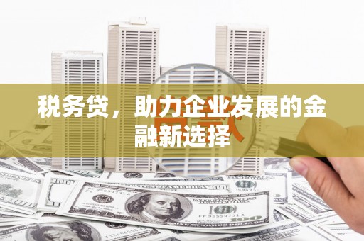 火炬税务贷，助力企业发展的金融新选择