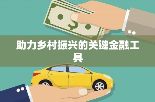 火炬助力乡村振兴的关键金融工具