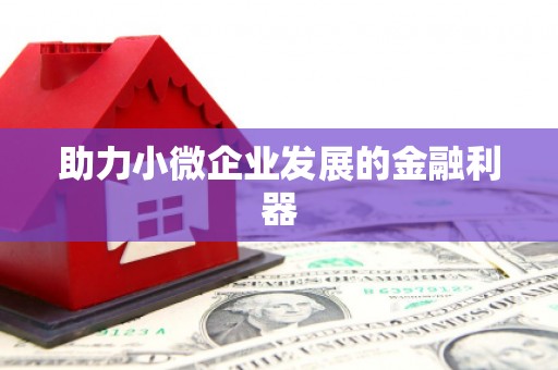 火炬助力小微企业发展的金融利器