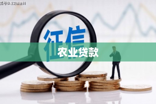 火炬农业贷款