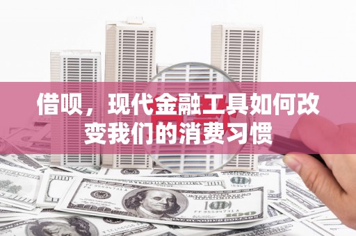 火炬借呗，现代金融工具如何改变我们的消费习惯