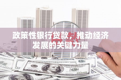 火炬政策性银行贷款，推动经济发展的关键力量