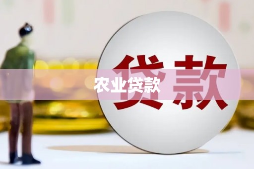 火炬农业贷款