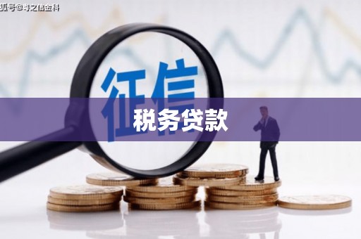 火炬税务贷款
