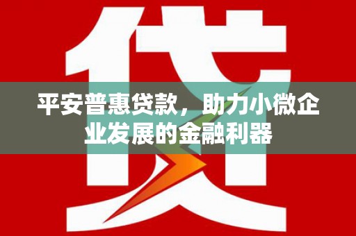 火炬平安普惠贷款，助力小微企业发展的金融利器