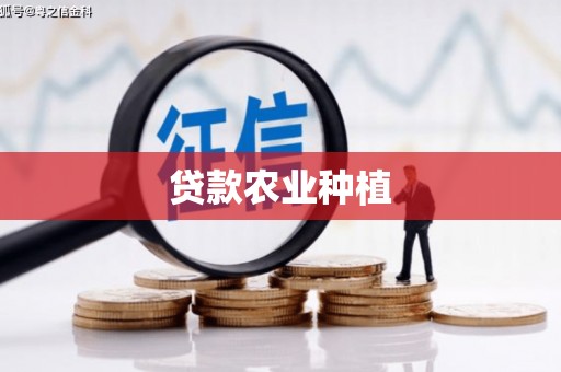 火炬贷款农业种植