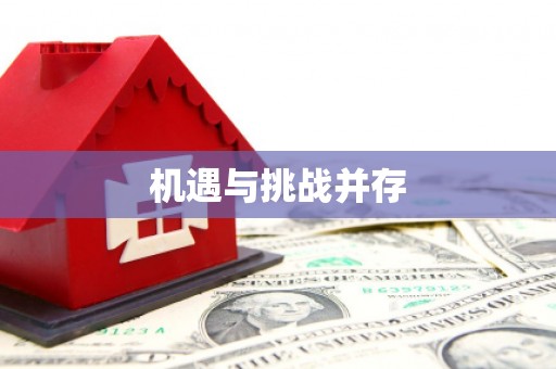火炬机遇与挑战并存