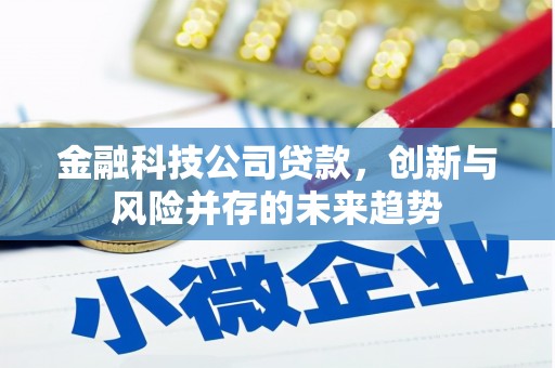 火炬金融科技公司贷款，创新与风险并存的未来趋势