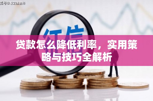火炬贷款怎么降低利率，实用策略与技巧全解析