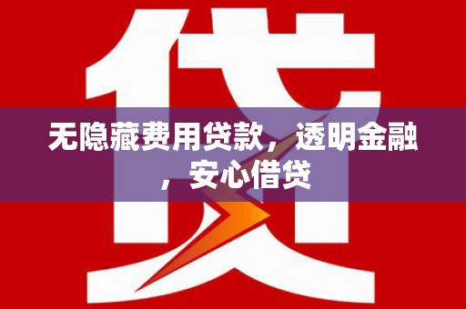 火炬无隐藏费用贷款，透明金融，安心借贷