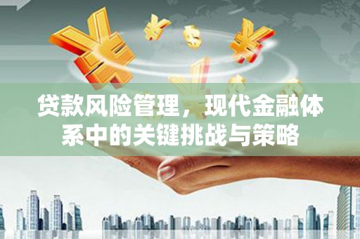 火炬贷款风险管理，现代金融体系中的关键挑战与策略