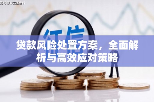 火炬贷款风险处置方案，全面解析与高效应对策略