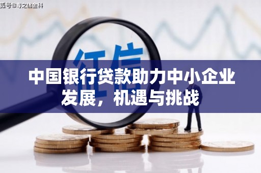 火炬中国银行贷款助力中小企业发展，机遇与挑战