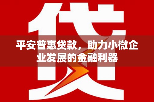 火炬平安普惠贷款，助力小微企业发展的金融利器