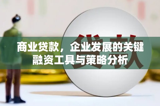火炬商业贷款，企业发展的关键融资工具与策略分析
