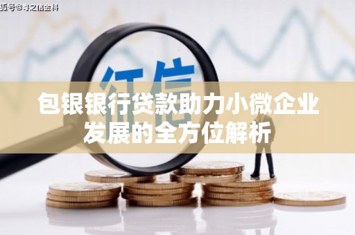 火炬包银银行贷款助力小微企业发展的全方位解析