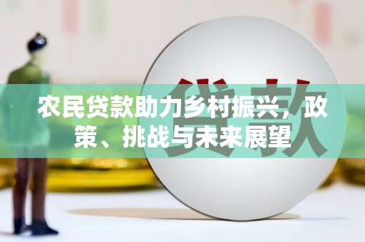 火炬农民贷款助力乡村振兴，政策、挑战与未来展望