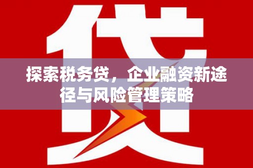 火炬探索税务贷，企业融资新途径与风险管理策略