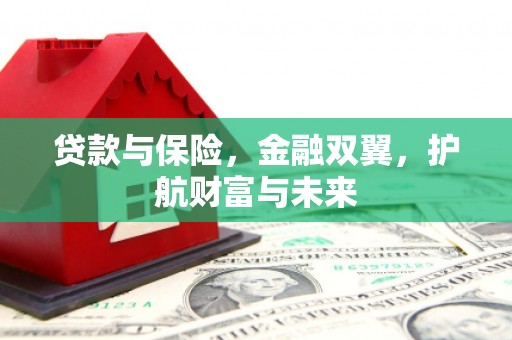 火炬贷款与保险，金融双翼，护航财富与未来