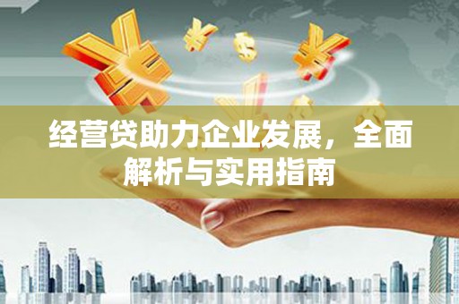 火炬经营贷助力企业发展，全面解析与实用指南