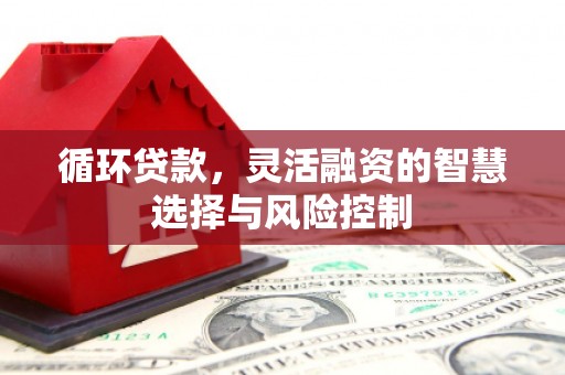 火炬循环贷款，灵活融资的智慧选择与风险控制