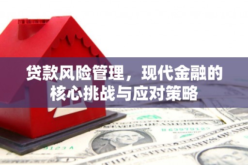火炬贷款风险管理，现代金融的核心挑战与应对策略
