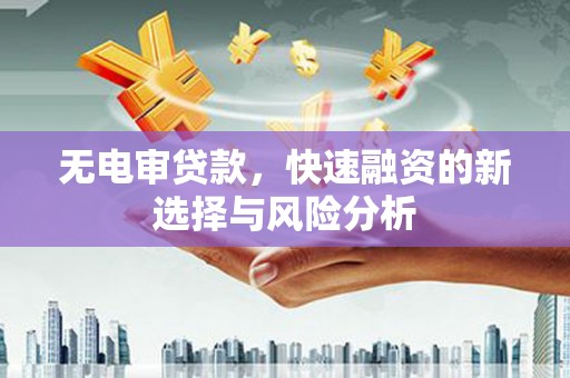 火炬无电审贷款，快速融资的新选择与风险分析