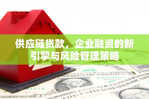 火炬供应链贷款，企业融资的新引擎与风险管理策略