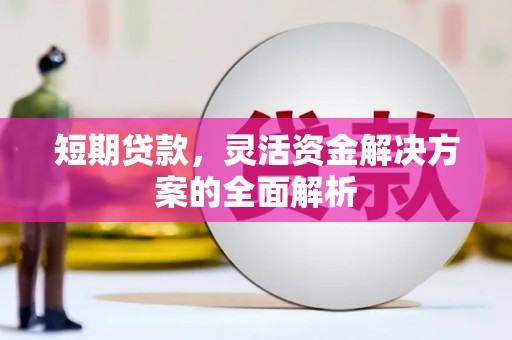 火炬短期贷款，灵活资金解决方案的全面解析