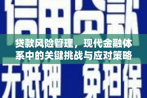火炬贷款风险管理，现代金融体系中的关键挑战与应对策略