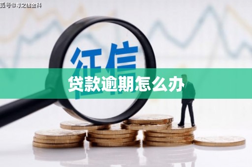 火炬贷款逾期怎么办