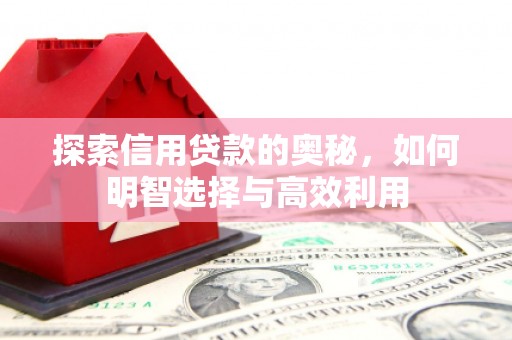 火炬探索信用贷款的奥秘，如何明智选择与高效利用