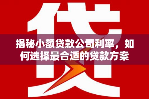 火炬揭秘小额贷款公司利率，如何选择最合适的贷款方案