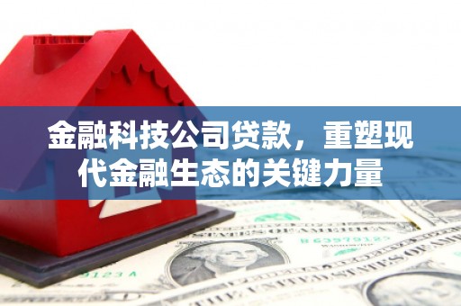 火炬金融科技公司贷款，重塑现代金融生态的关键力量
