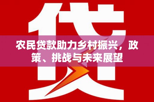 火炬农民贷款助力乡村振兴，政策、挑战与未来展望