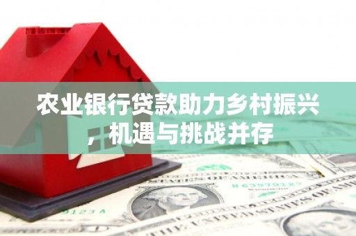 火炬农业银行贷款助力乡村振兴，机遇与挑战并存