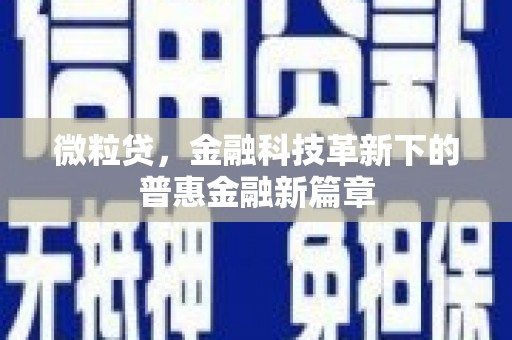 火炬微粒贷，金融科技革新下的普惠金融新篇章
