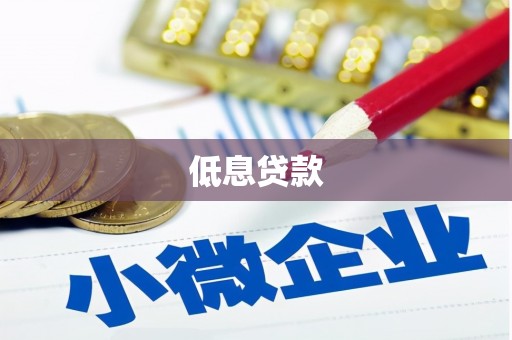 火炬低息贷款
