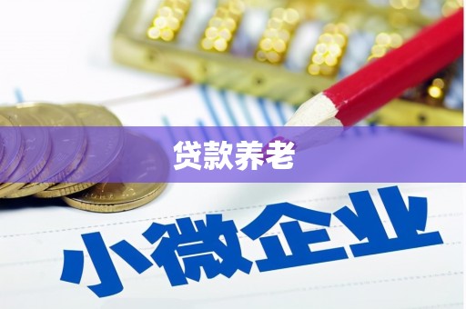 火炬贷款养老
