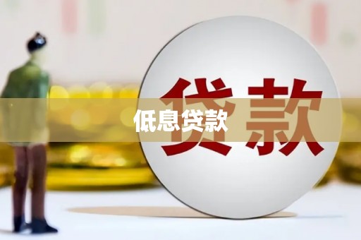 火炬低息贷款