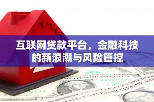 火炬互联网贷款平台，金融科技的新浪潮与风险管控