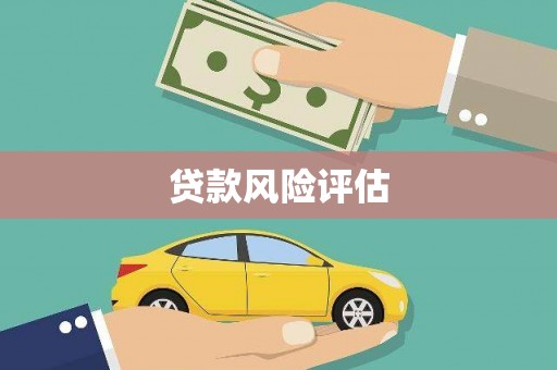 火炬贷款风险评估
