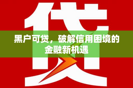 火炬黑户可贷，破解信用困境的金融新机遇