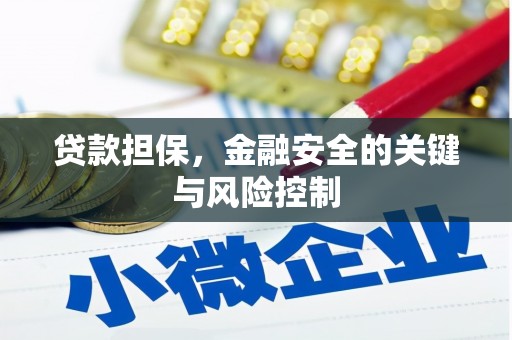 火炬贷款担保，金融安全的关键与风险控制