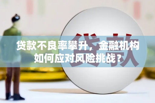 火炬贷款不良率攀升，金融机构如何应对风险挑战？