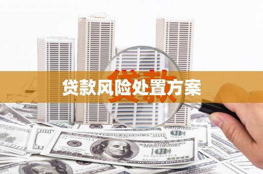 火炬贷款风险处置方案