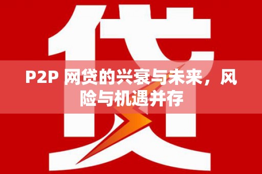 火炬P2P 网贷的兴衰与未来，风险与机遇并存