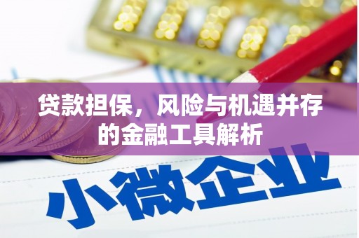 火炬贷款担保，风险与机遇并存的金融工具解析